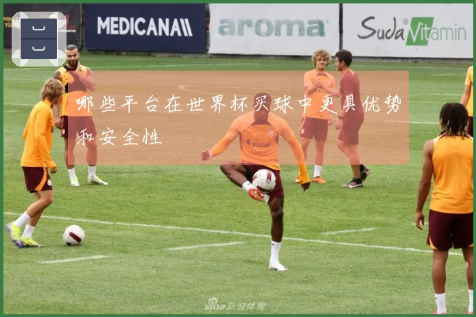 哪些平台在世界杯买球中更具优势和安全性