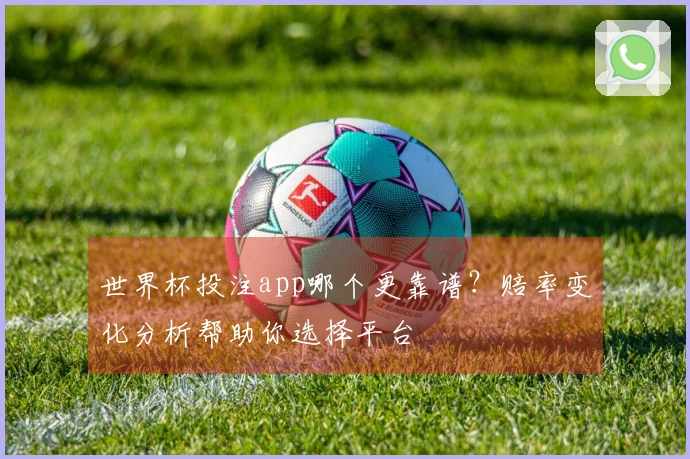 世界杯投注app哪个更靠谱？赔率变化分析帮助你选择平台