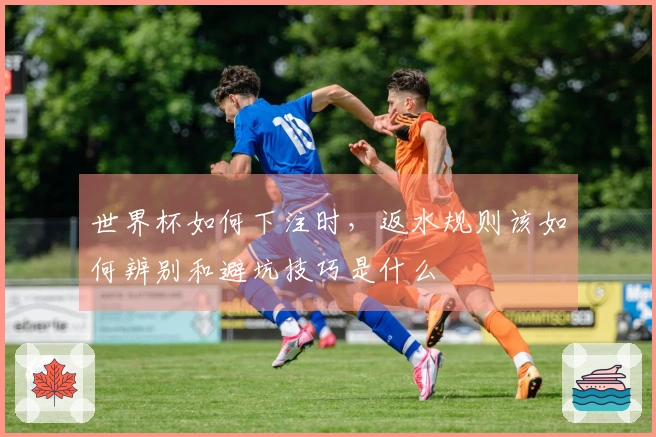 世界杯如何下注时，返水规则该如何辨别和避坑技巧是什么