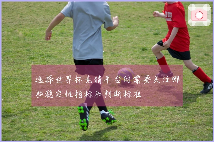 选择世界杯竞猜平台时需要关注哪些稳定性指标和判断标准