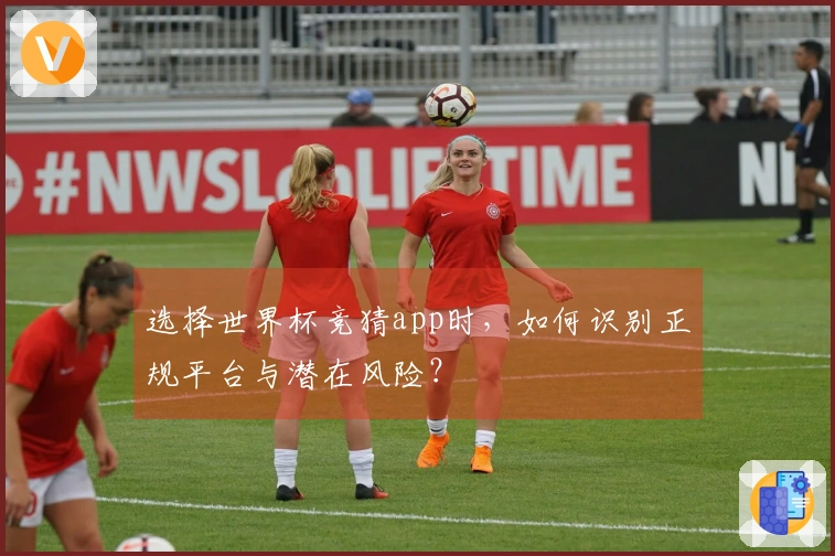 选择世界杯竞猜app时，如何识别正规平台与潜在风险？