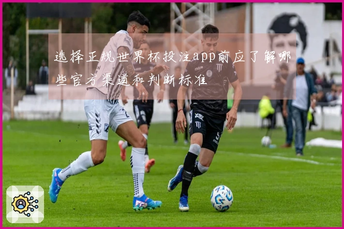 选择正规世界杯投注app前应了解哪些官方渠道和判断标准