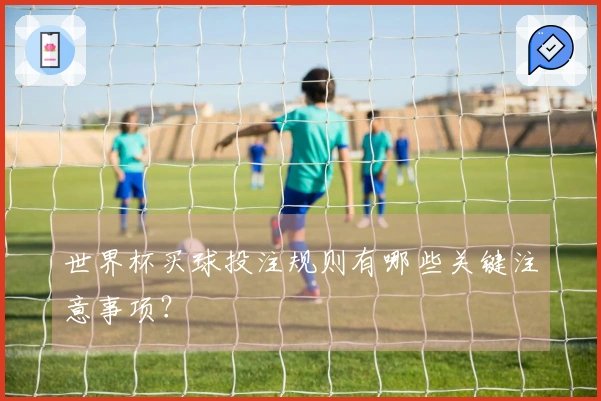 世界杯买球投注规则有哪些关键注意事项？