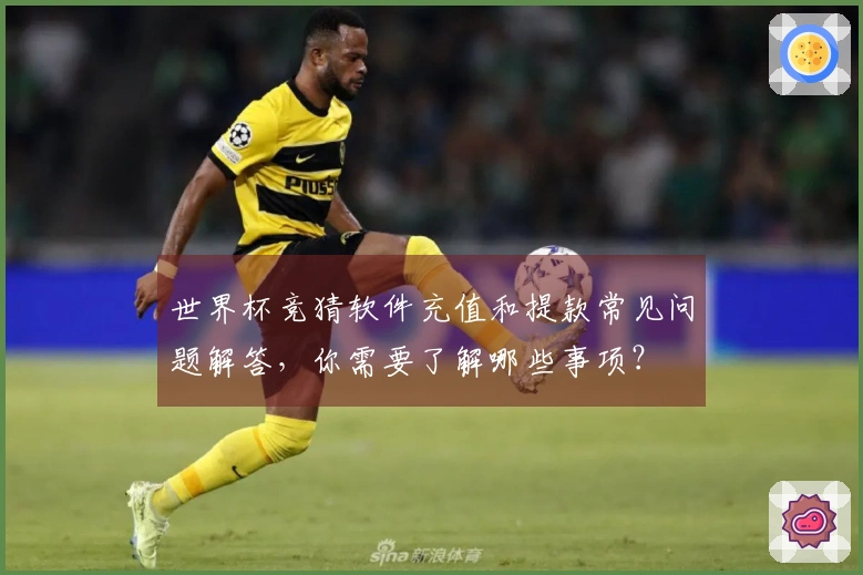 世界杯竞猜软件充值和提款常见问题解答，你需要了解哪些事项？