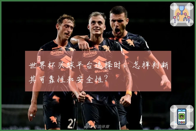 世界杯买球平台选择时，怎样判断其可靠性和安全性？