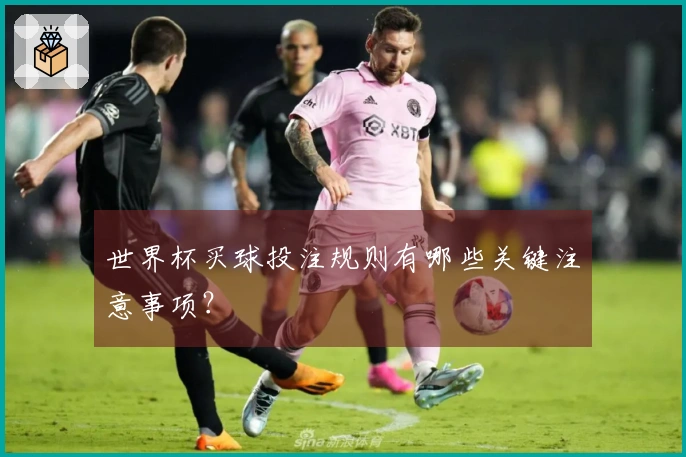 世界杯买球投注规则有哪些关键注意事项？