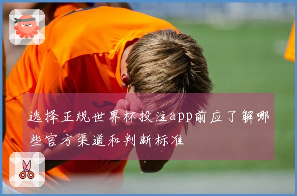 选择正规世界杯投注app前应了解哪些官方渠道和判断标准