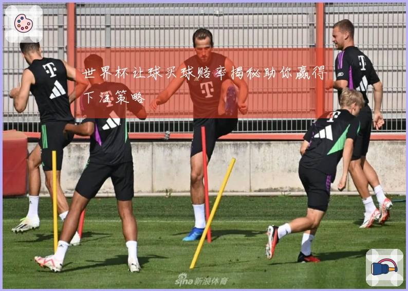 世界杯让球买球赔率揭秘助你赢得下注策略