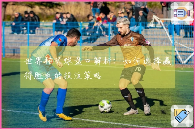世界杯买球盘口解析：如何选择赢得胜利的投注策略
