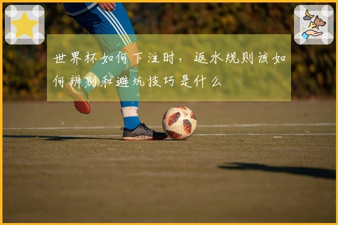 世界杯如何下注时，返水规则该如何辨别和避坑技巧是什么