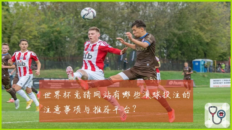世界杯竞猜网站有哪些滚球投注的注意事项与推荐平台？