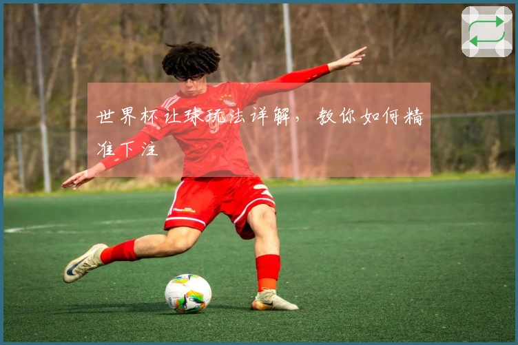 世界杯让球玩法详解，教你如何精准下注