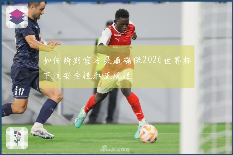 如何辨别官方渠道确保2026世界杯下注安全性和正规性