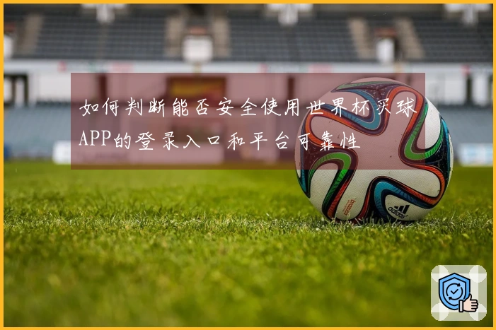 如何判断能否安全使用世界杯买球APP的登录入口和平台可靠性