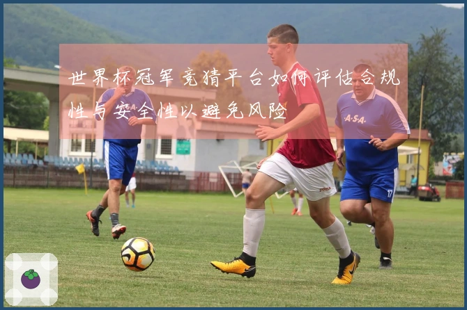 世界杯冠军竞猜平台如何评估合规性与安全性以避免风险