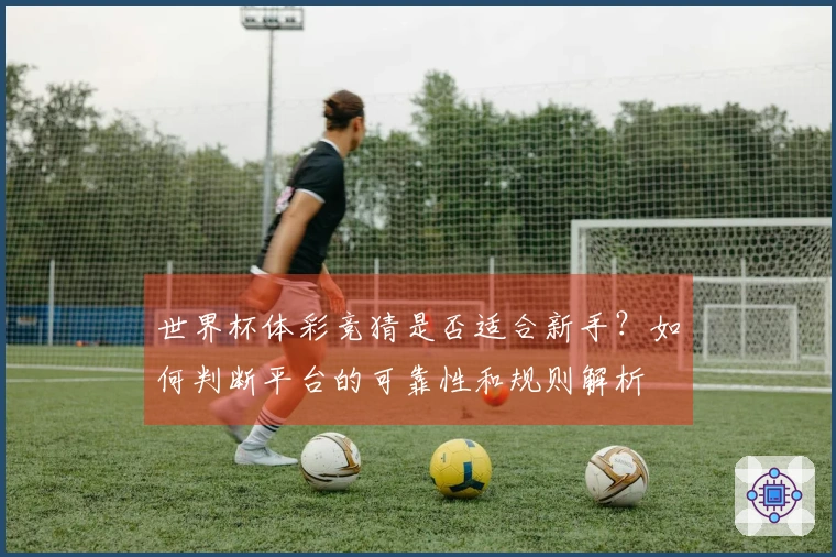 世界杯体彩竞猜是否适合新手？如何判断平台的可靠性和规则解析