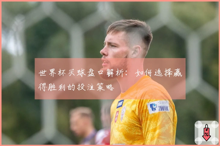世界杯买球盘口解析：如何选择赢得胜利的投注策略