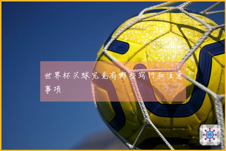 世界杯买球究竟有哪些窍门和注意事项