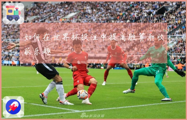 如何在世界杯投注中提高胜算和收获乐趣