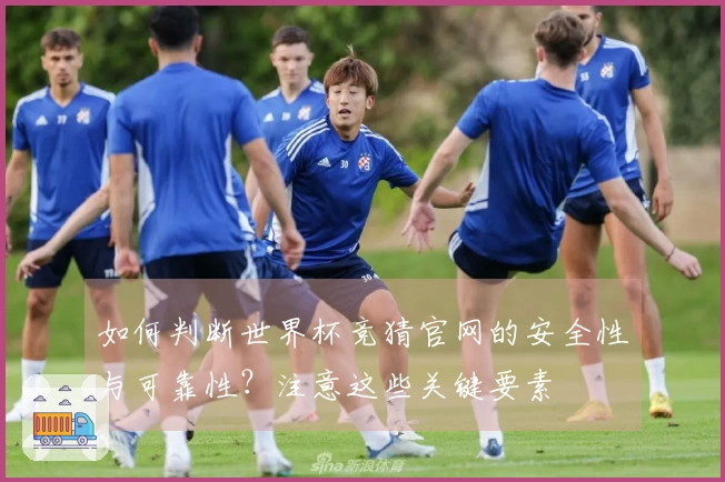 如何判断世界杯竞猜官网的安全性与可靠性？注意这些关键要素