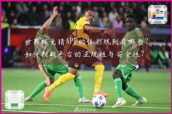 世界杯竞猜APP的体彩规则有哪些？如何判断平台的正规性与安全性？