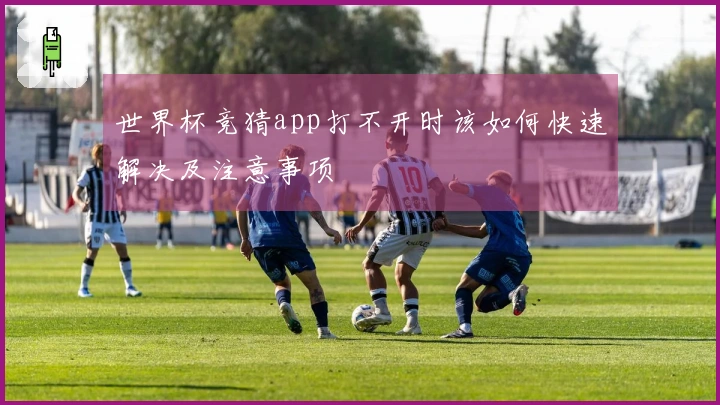 世界杯竞猜app打不开时该如何快速解决及注意事项