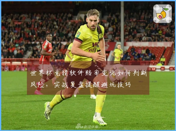 世界杯竞猜软件赔率变化如何判断风险,实战复盘提醒避坑技巧