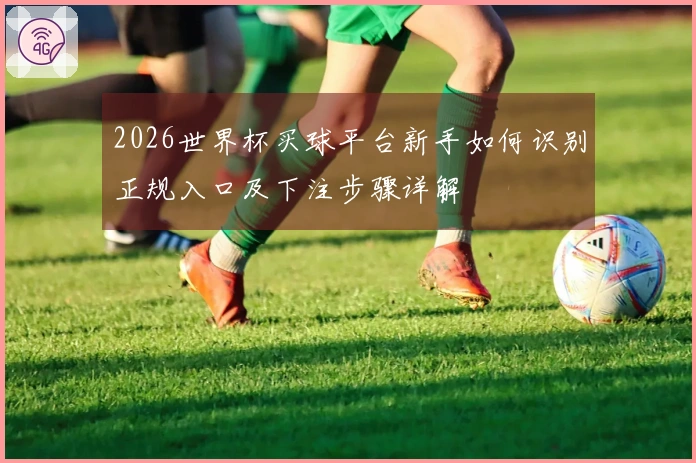 2026世界杯买球平台新手如何识别正规入口及下注步骤详解