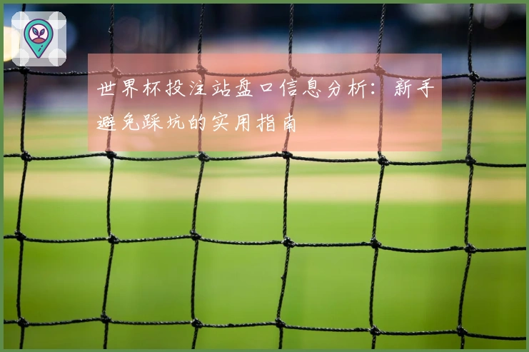 世界杯投注站盘口信息分析：新手避免踩坑的实用指南