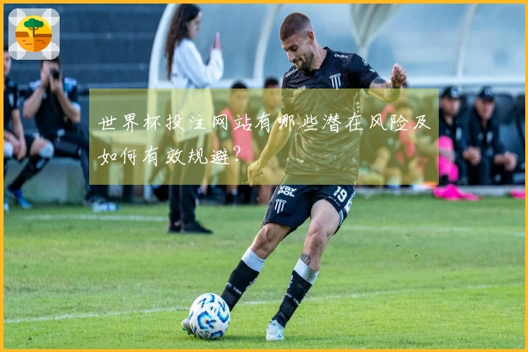 世界杯投注网站有哪些潜在风险及如何有效规避？