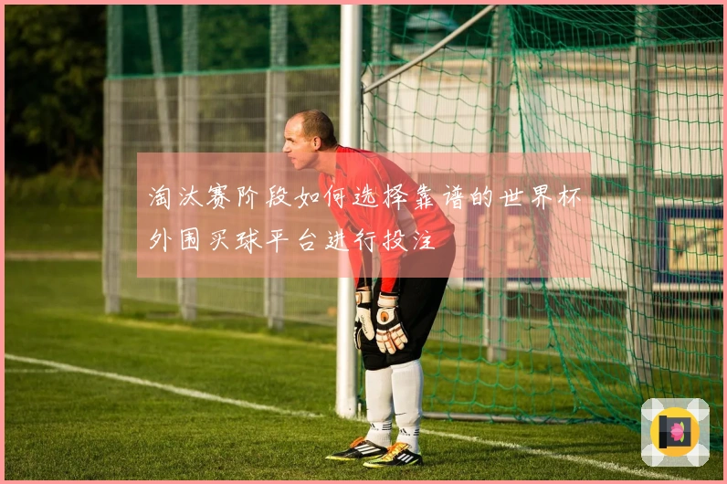 淘汰赛阶段如何选择靠谱的世界杯外围买球平台进行投注
