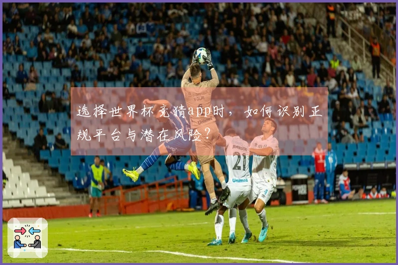 选择世界杯竞猜app时，如何识别正规平台与潜在风险？
