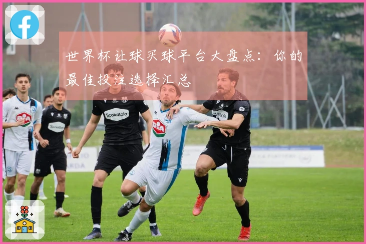 世界杯让球买球平台大盘点：你的最佳投注选择汇总