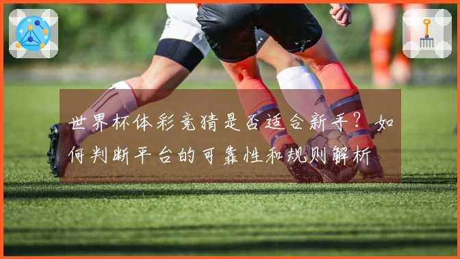 世界杯体彩竞猜是否适合新手？如何判断平台的可靠性和规则解析