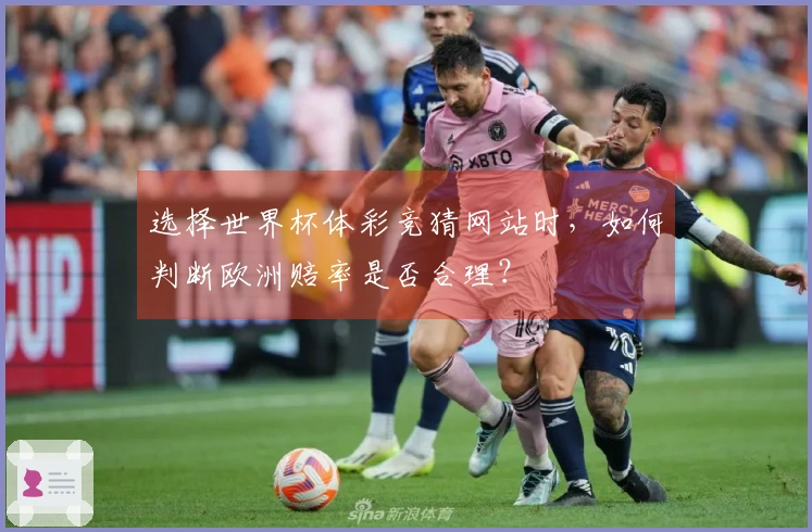 选择世界杯体彩竞猜网站时，如何判断欧洲赔率是否合理？