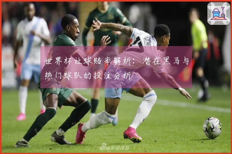 世界杯让球赔率解析：潜在黑马与热门球队的投注分析