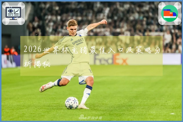 2026世界杯竞猜最佳入口及策略分析揭秘