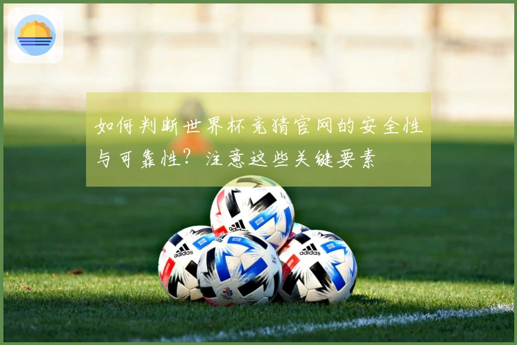 如何判断世界杯竞猜官网的安全性与可靠性？注意这些关键要素