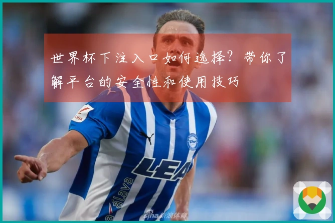 世界杯下注入口如何选择？带你了解平台的安全性和使用技巧