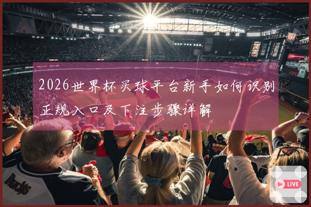 2026世界杯买球平台新手如何识别正规入口及下注步骤详解
