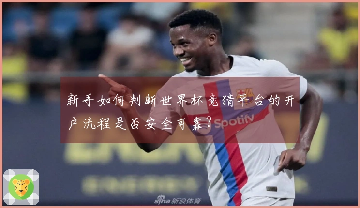 新手如何判断世界杯竞猜平台的开户流程是否安全可靠？