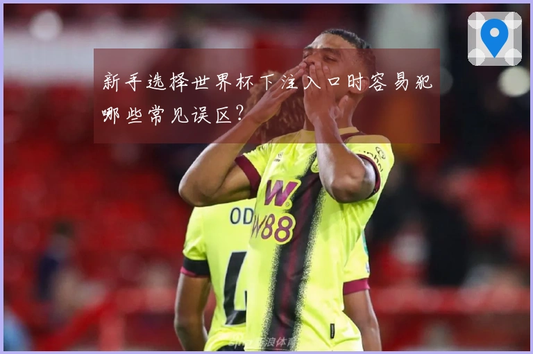 新手选择世界杯下注入口时容易犯哪些常见误区？