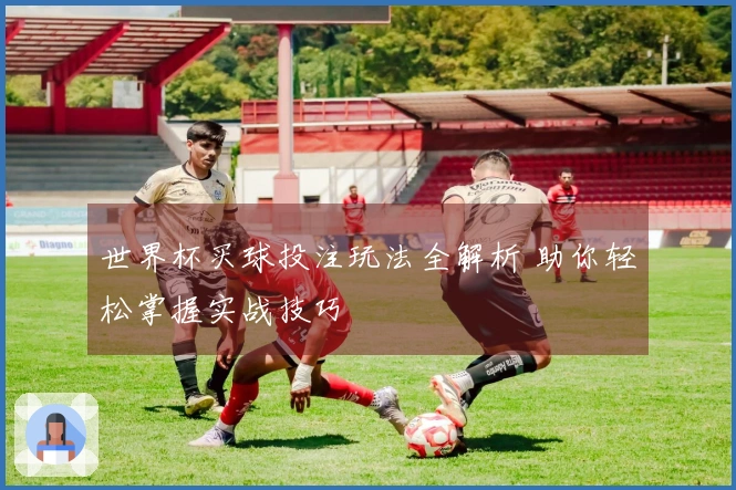 世界杯买球投注玩法全解析 助你轻松掌握实战技巧
