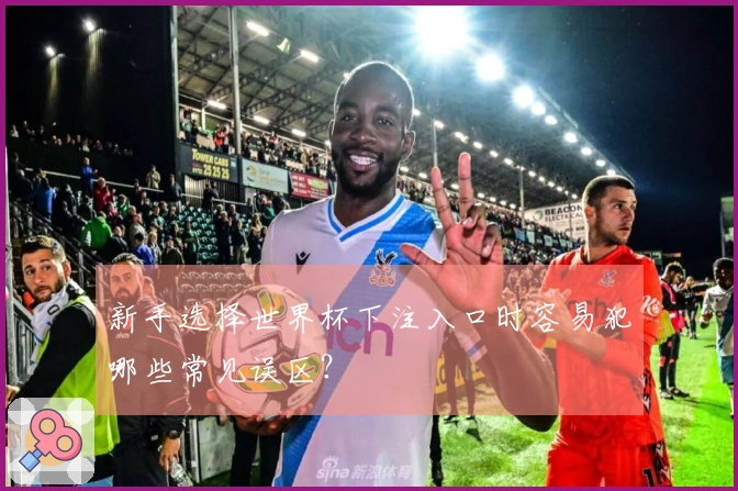 新手选择世界杯下注入口时容易犯哪些常见误区？
